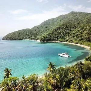 Cinto Paradise Colombia